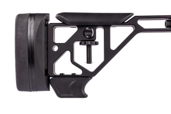 Tikka T1x Ace Target (1).jpg